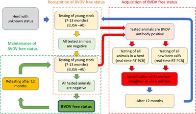 The Principles of the Voluntary Programme for the Control and Elimination of Bovine Viral Diarrhoea Virus (BVDV) From Infected Herds in Slovenia